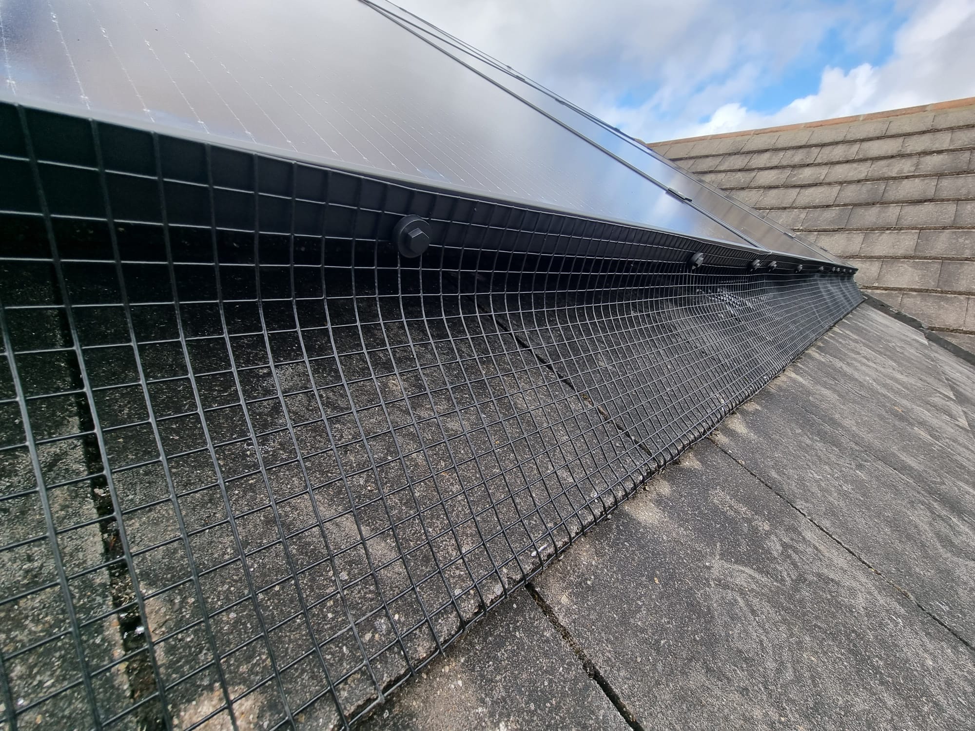 Protecting Your Solar Panels from Bird Damage