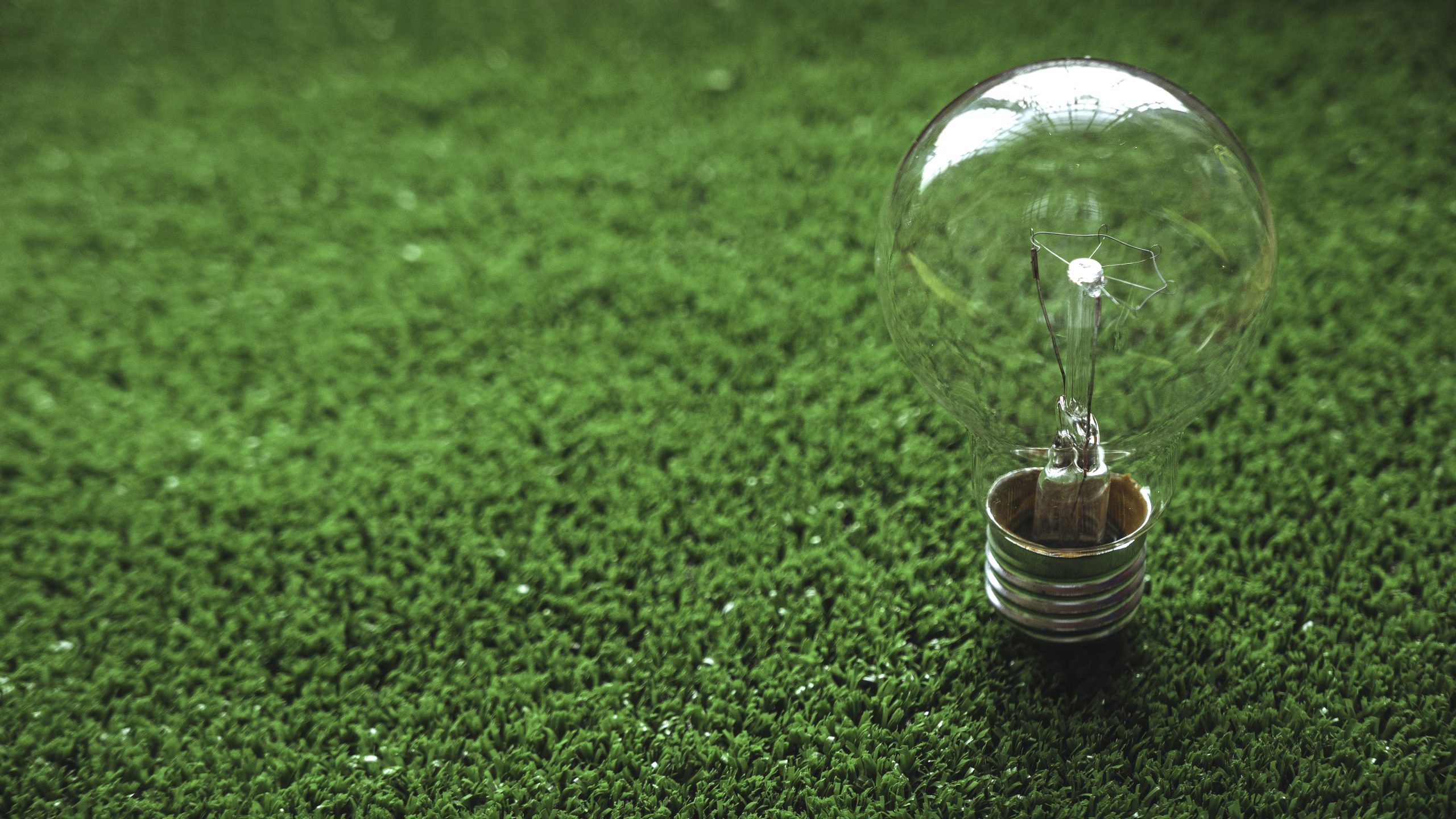 Renewable Energy Reaches Unprecedented Levels